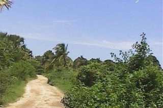 Senderismo en la naturaleza